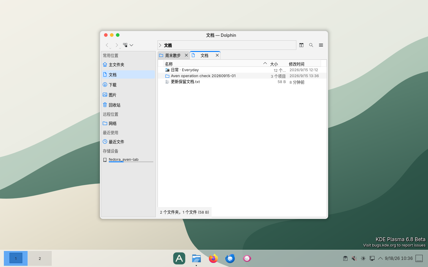 在线安装验证中的真实中文 Dolphin 窗口,列表包含更新保留文档.txt,底部为全宽面板